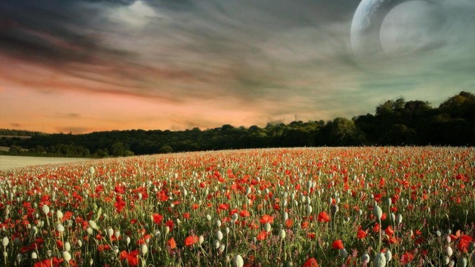 花小小新疆炒米粉酱料被曝含有猪肉，目前品牌已致歉，如何看待这件事？